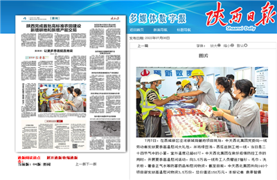 龙8国际西北集团珑樾府项目高温慰问——《陕西日报》